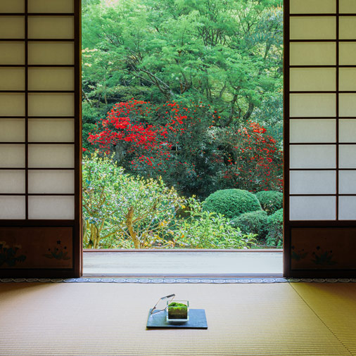 青蓮院